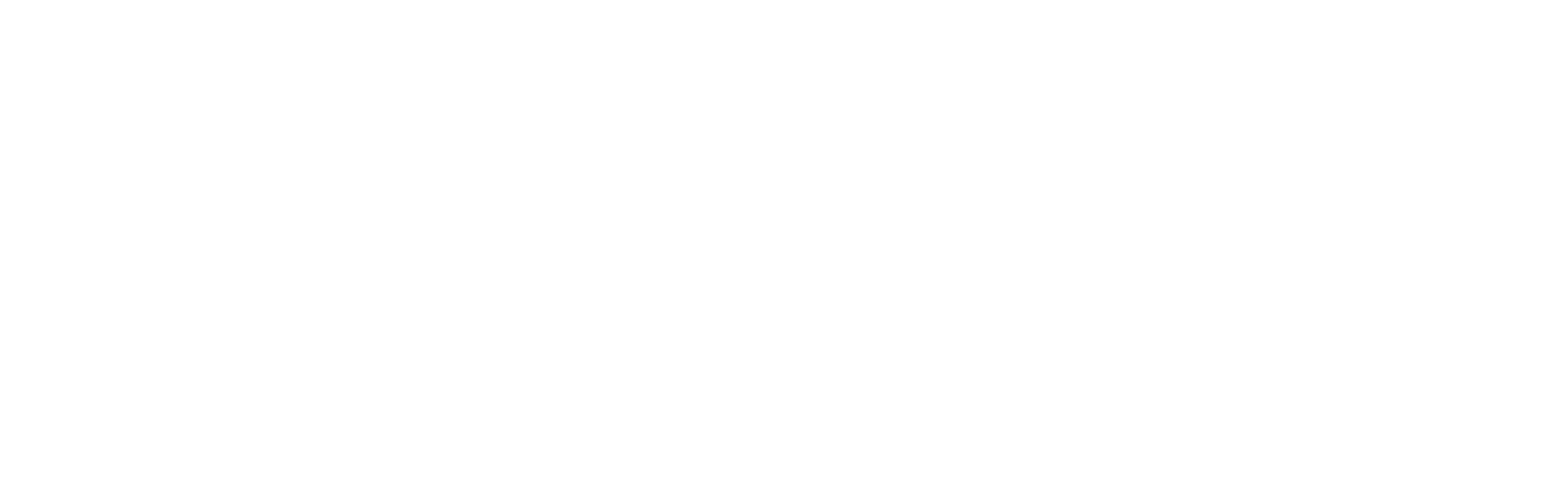 logo-white (1)